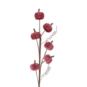 Pompoentak Velvet Burgundy