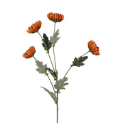 Chrysanttak – oranje