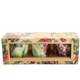 Geurkaarsenset Winter Berries