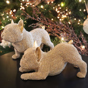 Goudkleurig franse bulldog met subtiele glinstering – 20 cm