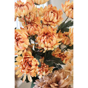 Chrysanttak – oranje