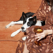 Amber coupeglazen – set van 2 (177 ml)