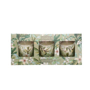 Apple & Cinnamon Geurkaarsjes lichtgroen set van 3