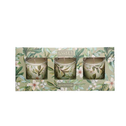 Apple & Cinnamon Geurkaarsjes lichtgroen set van 3