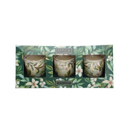 Apple & Cinnamon Geurkaarsjes lichtgroen set van 3